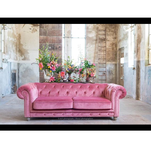 divano rosa richmond divano