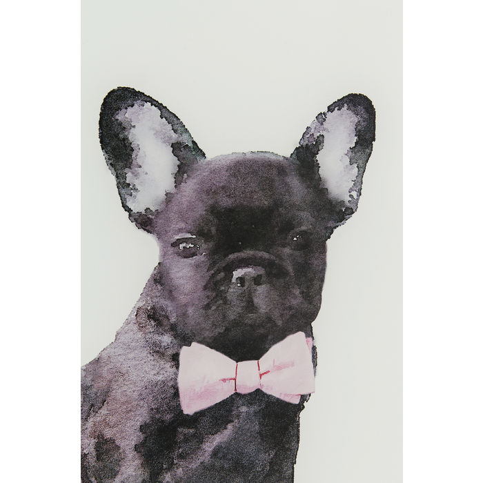 quadro in vetro cane su riviste - immagine 4