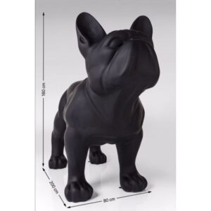 Bull dog grandezza UOMO GIGANTE