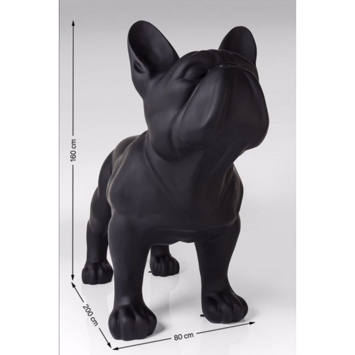 Bull dog grandezza UOMO GIGANTE