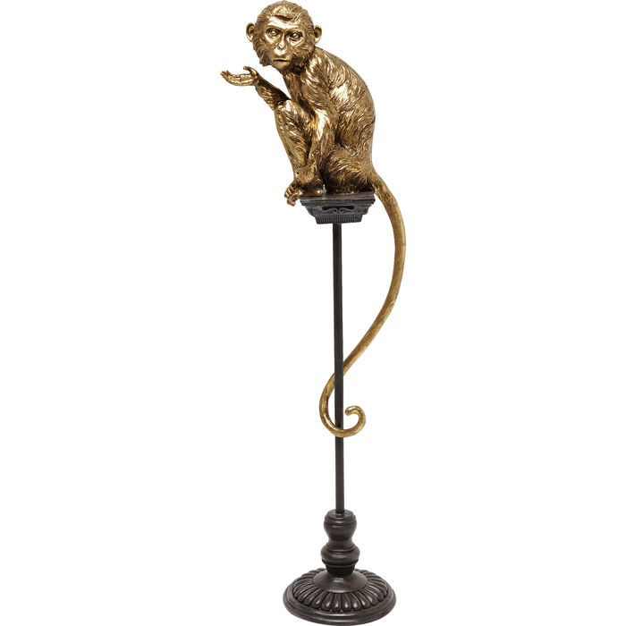 Little monkey