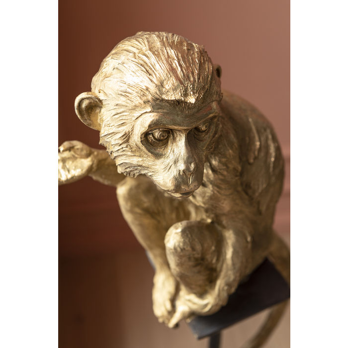 Little monkey - immagine 3
