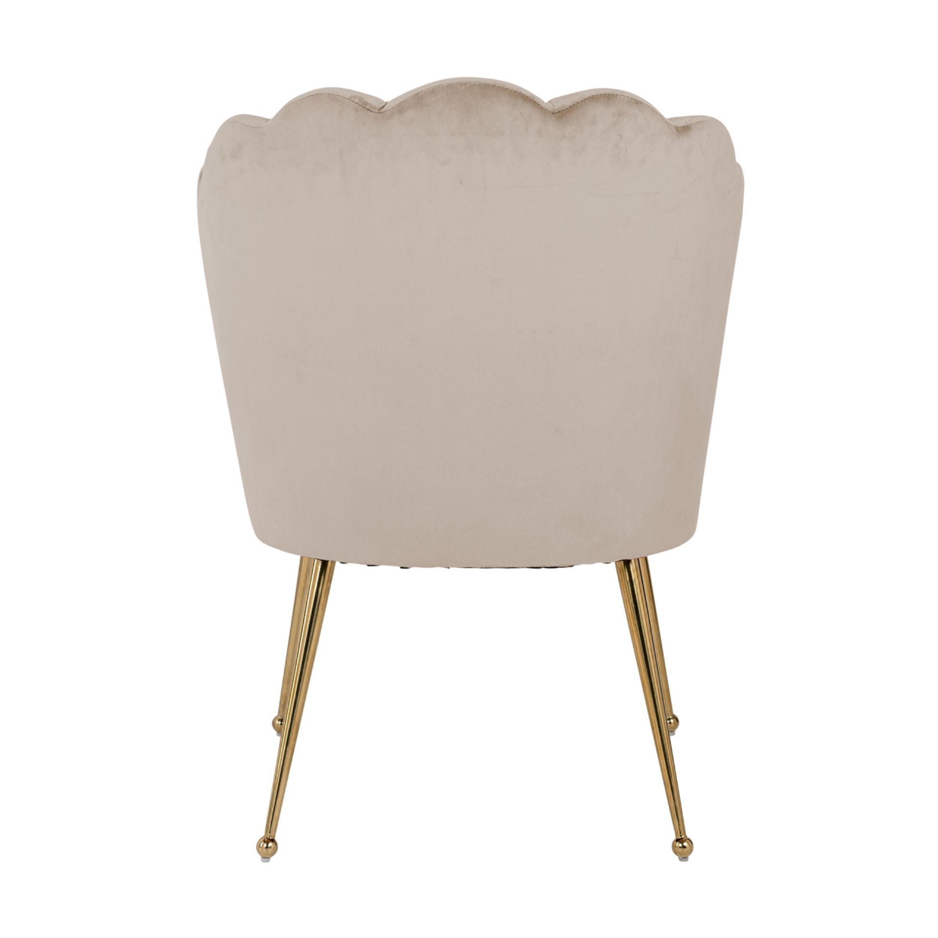Sedia conchiglia khaki Rich. - immagine 3