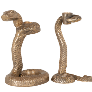 Candeliere snake Rich.