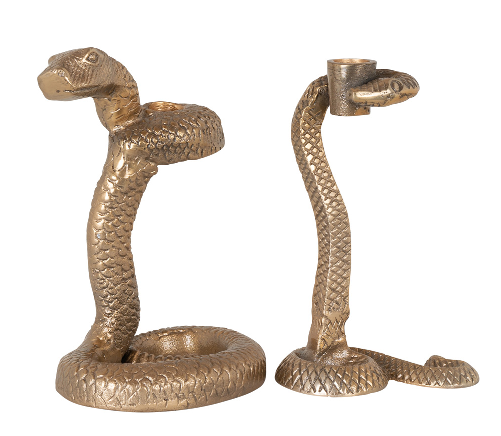 Candeliere snake Rich.