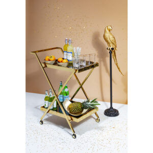 Pappagallo decorativo K