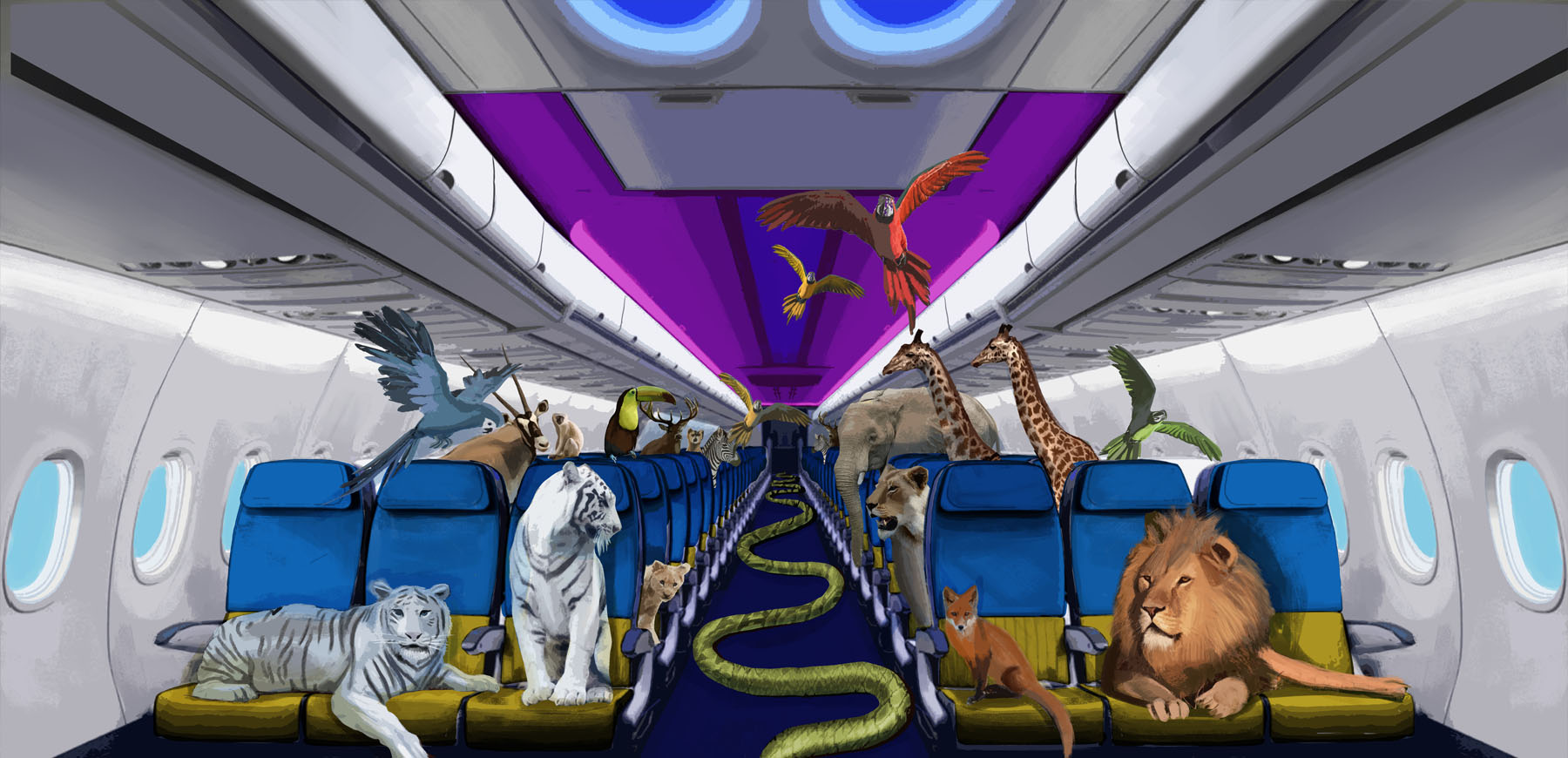 Carta da Parati "Aereo" - immagine 3