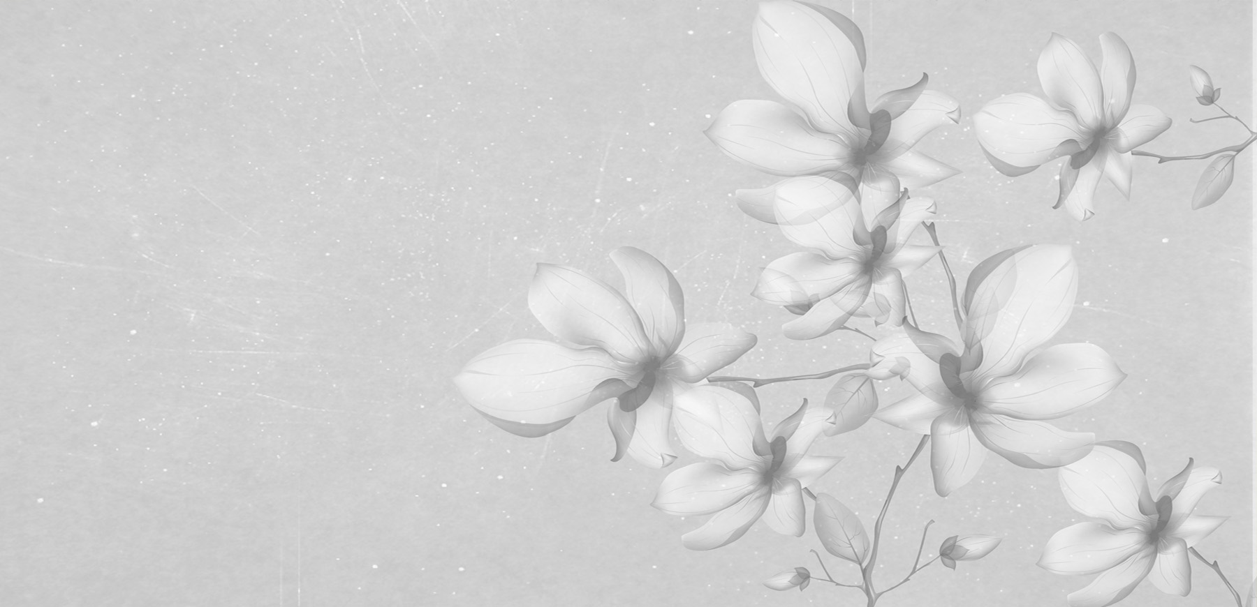 Carta da Parati "Fiori" - immagine 2