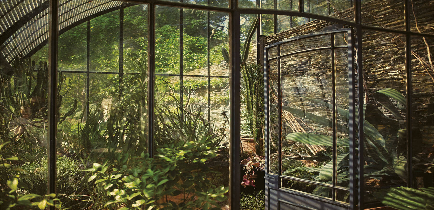 Carta da Parati "Giardino" - immagine 2