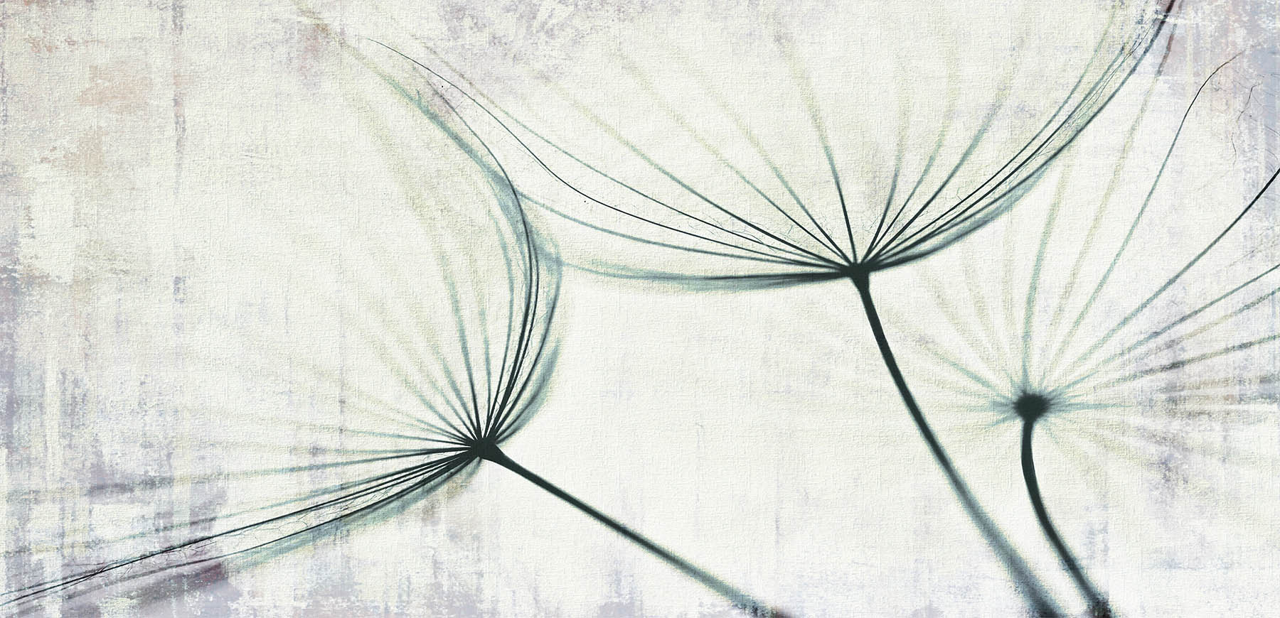 Carta da Parati "Wind" - immagine 2
