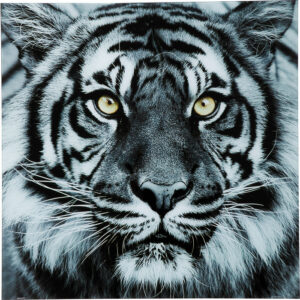 Quadro in vetro tigre 80x80