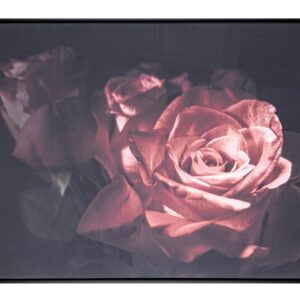 Quadro rosa antica 82X122