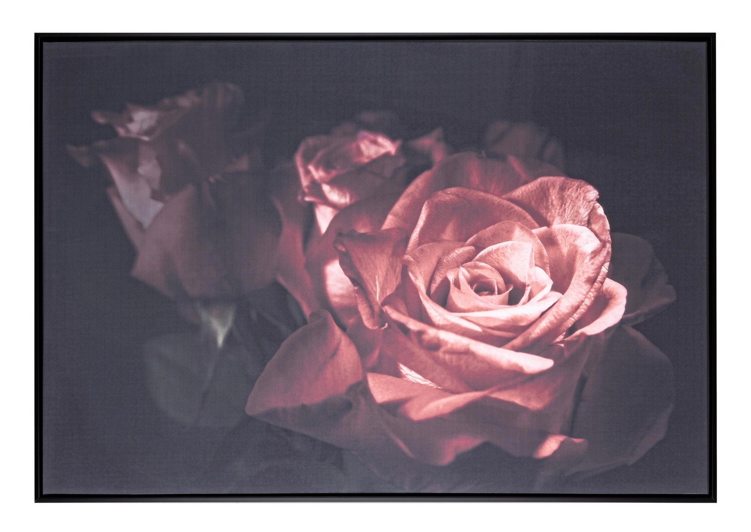 Quadro rosa antica 82X122