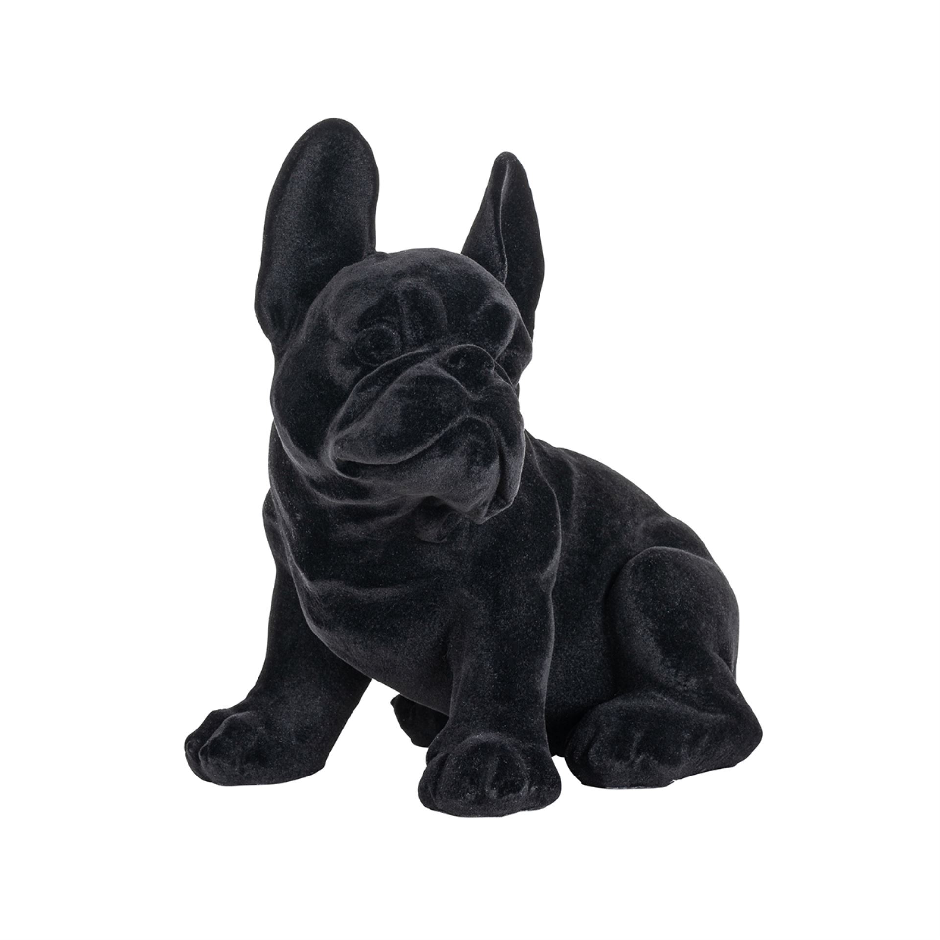 Cane Mirò nero