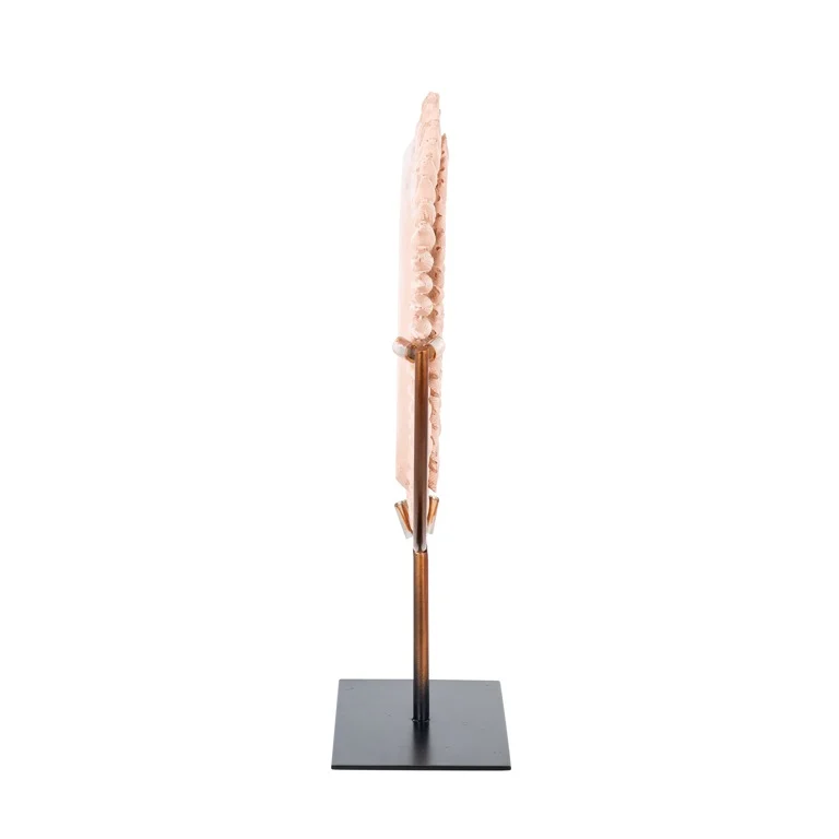 Decorazione pink - immagine 2