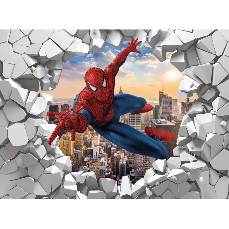 Carta da Parati ''Spider A&R'' - immagine 2