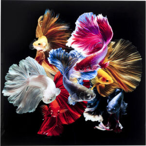 Quadro in vetro aquarium