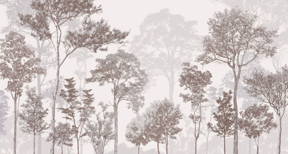 parato alberi