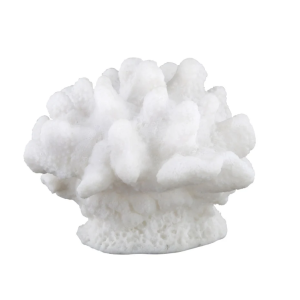 Statuina Corallo Bianco  17x15xh14cm