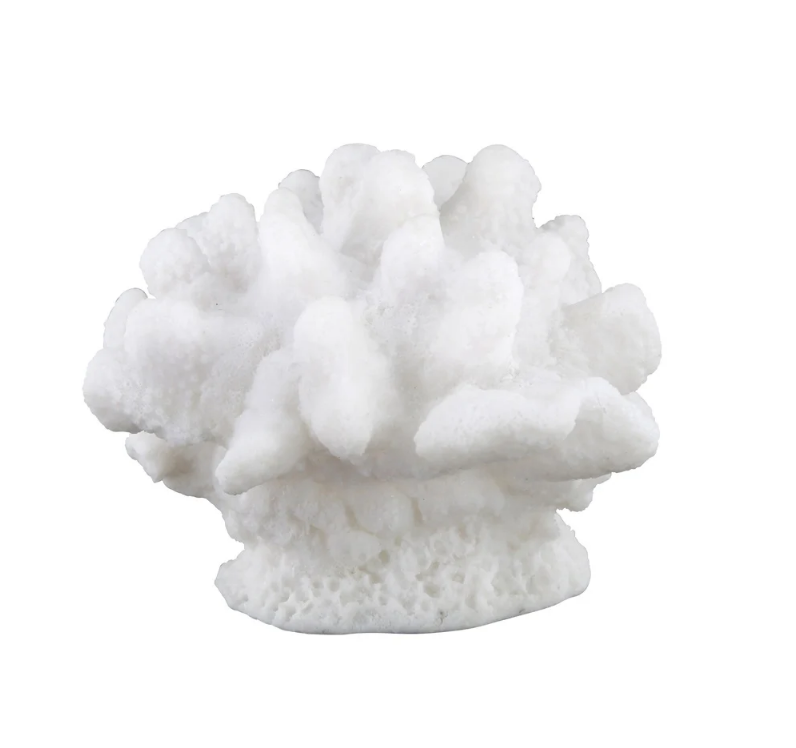 Statuina Corallo Bianco 17x15xh14cm