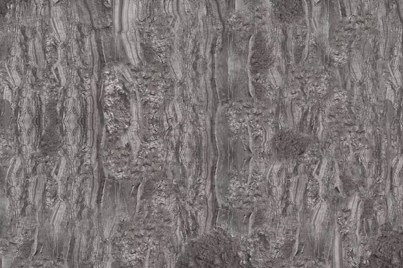 CRICKET - immagine 3